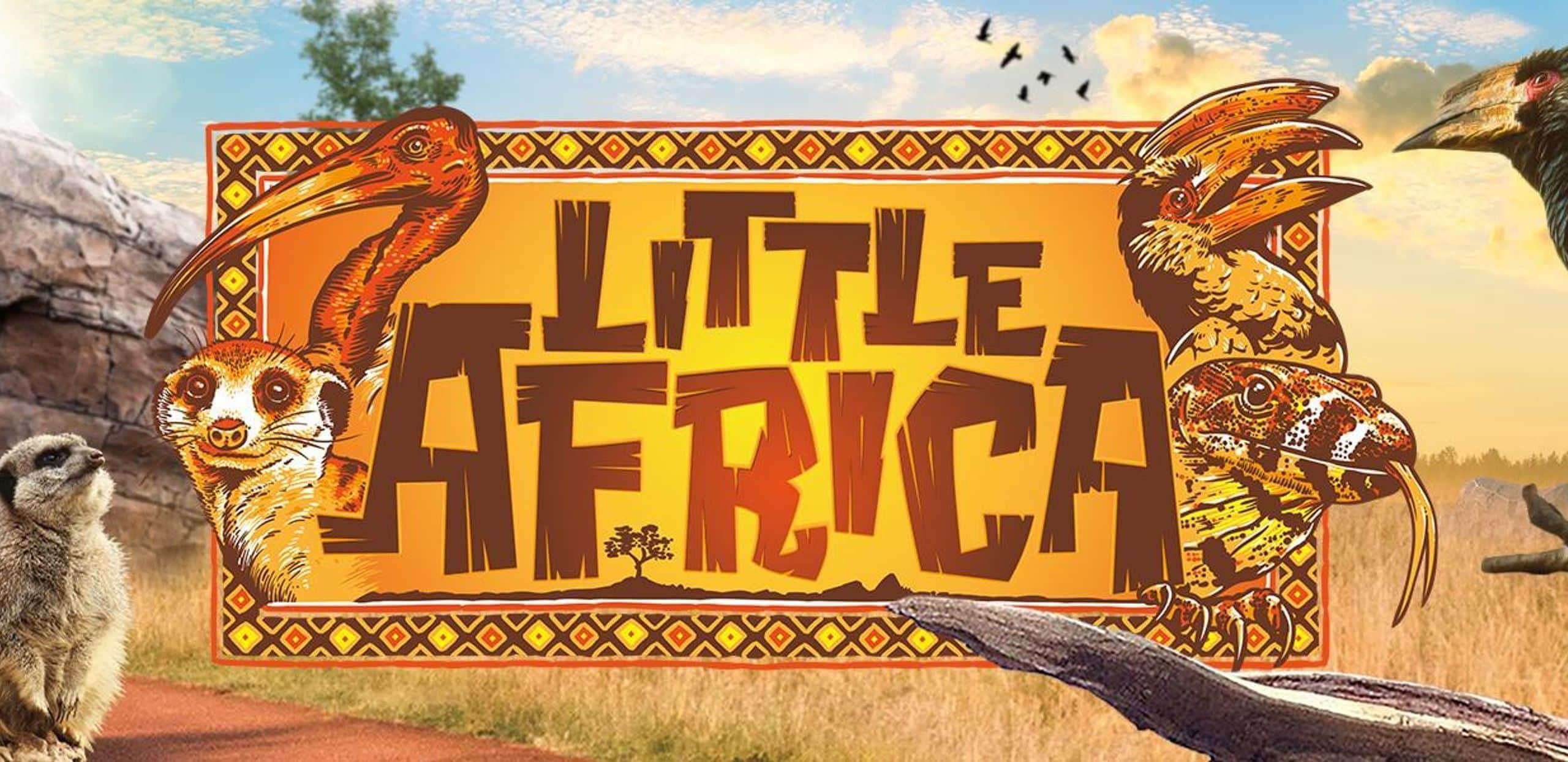 Little Africa banner
