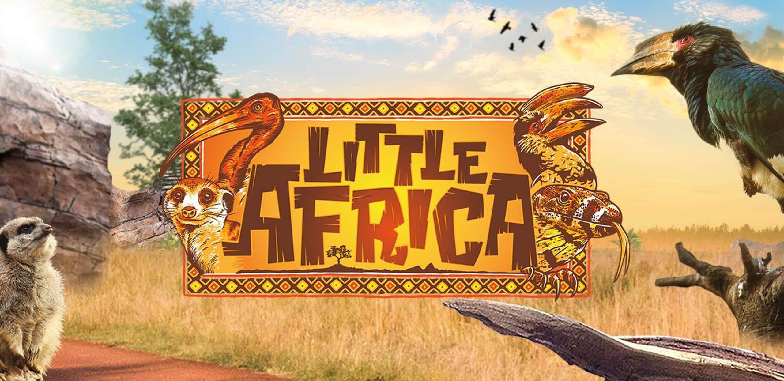 Little Africa banner