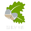 Silver Green Leaf Logo