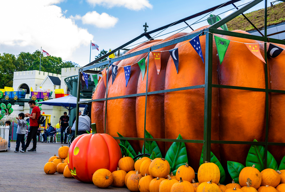 The Giant Pumpkin