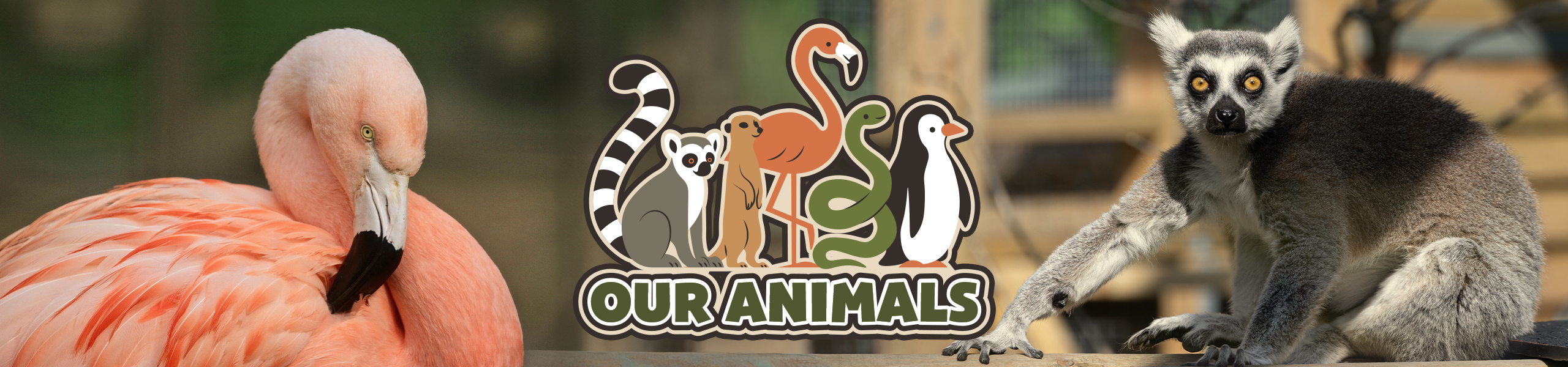 Animals at Paultons Park