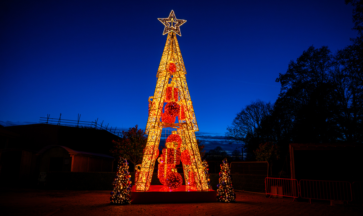 Giant Christmas Tree